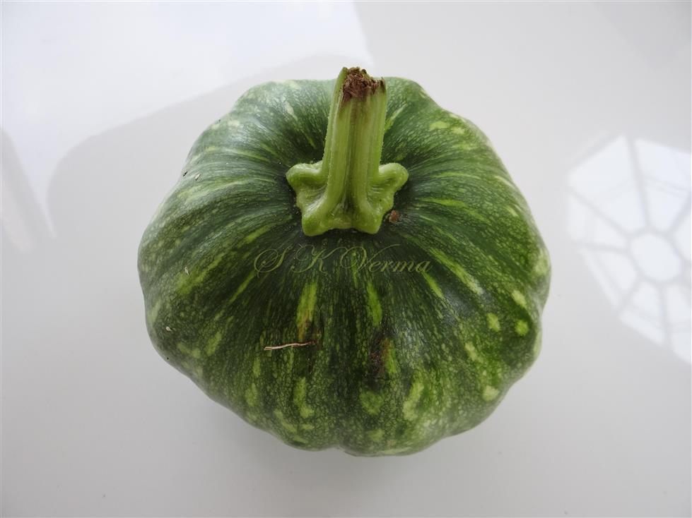  Fruit